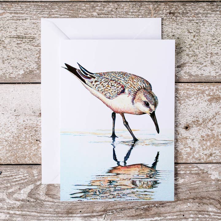 Sand Piper Searching Watercolor Artwork 5x7 Greeting Card for wholesale by The Ship's Hold