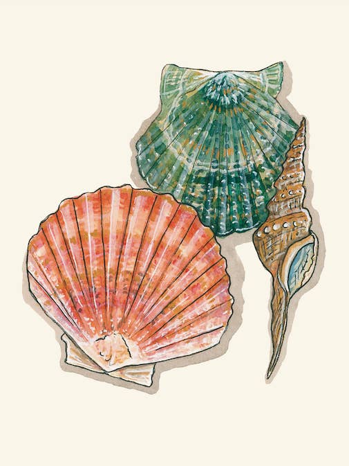 Stampa artistica De la Mer Sea Shells per la vendita all'ingrosso da parte di artxnikki