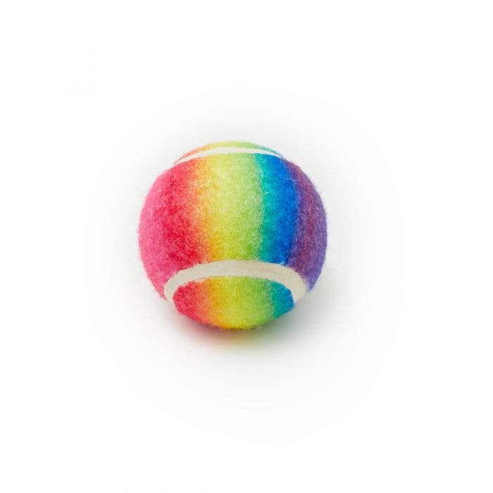PetLondon - Wholesale Pet Fetch Ball - Dog - Rainbow Dog Tennis Balls5