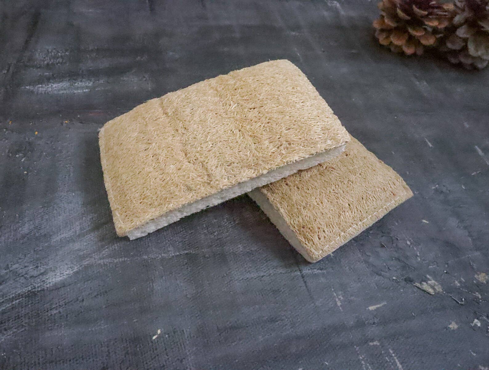 Plantish - Wholesale Cleaning Sponge - Eco Sponge9