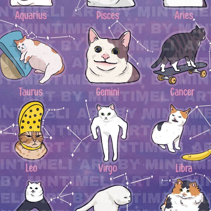 Astrology Meme Cat - Stampa artistica, grande (11 x 14) per la vendita all'ingrosso da parte di Mintimeli