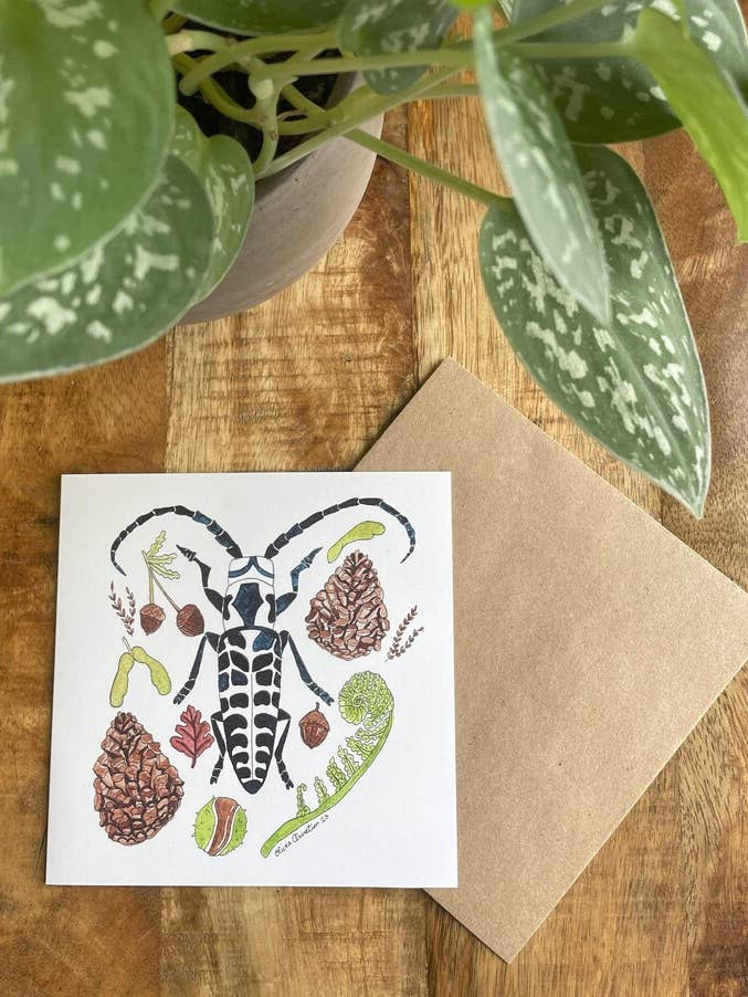 Carte Forest Floor — Carte carrée vierge 5 x 5 x 5 pour la vente par MossyPathArt