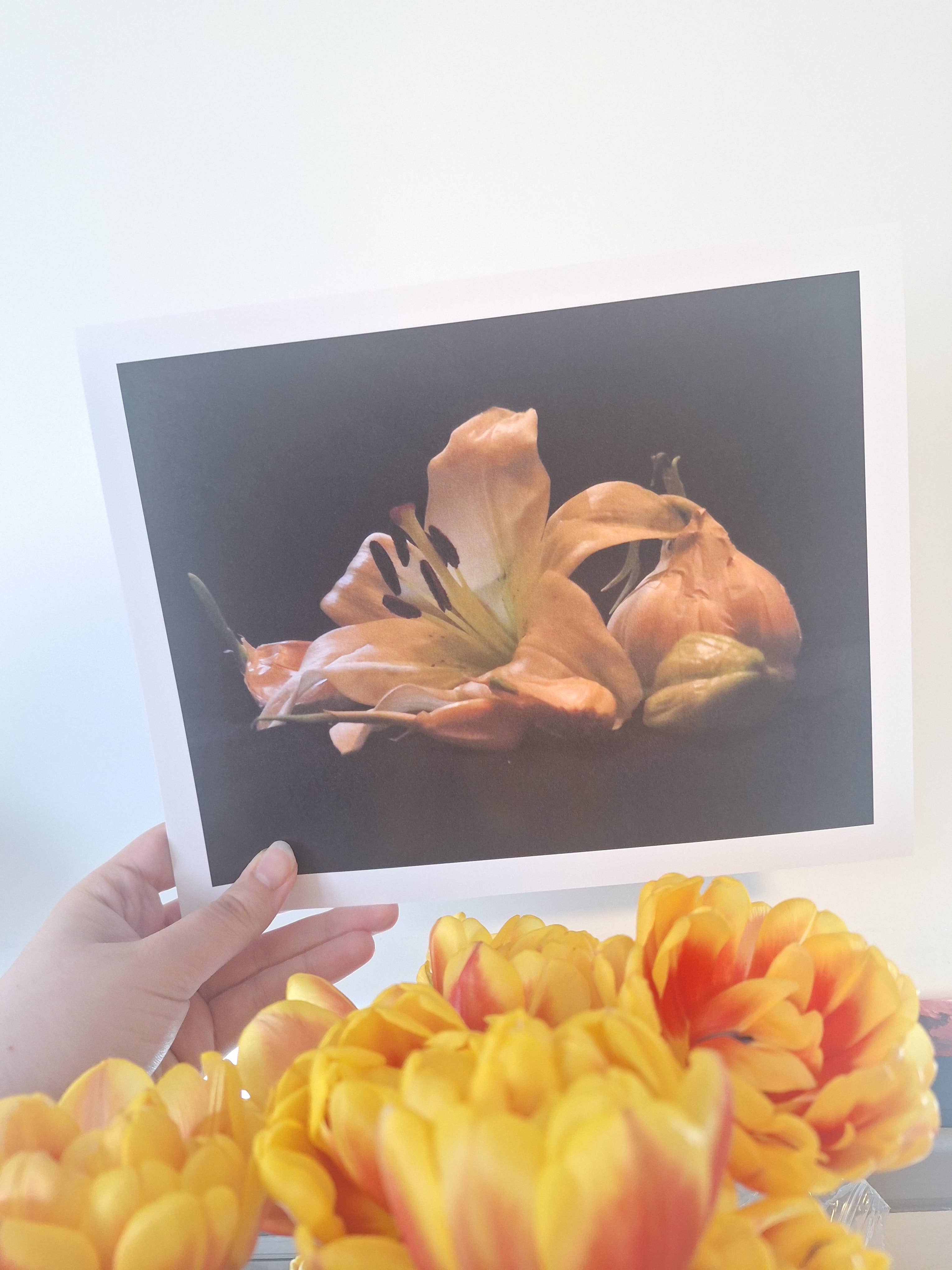 Gen Aumonier Art - Wholesale Photograph - Garlic and Lilies 8"x10" Signed Photography Art Print