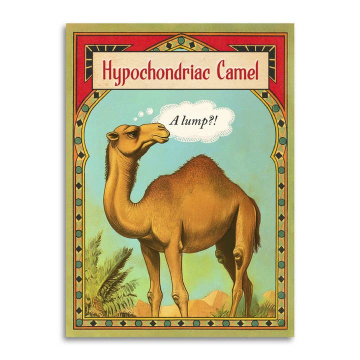 Bad Betty Greeting Co. - Wholesale Get Well Card - Hypochondriac Camel - Funny Get Well Cancer Greeting Card