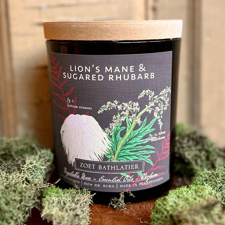 Bougie à la crinière de lion et à la rhubarbe sucrée et aux champignons pour la vente par Zoet Bathlatier