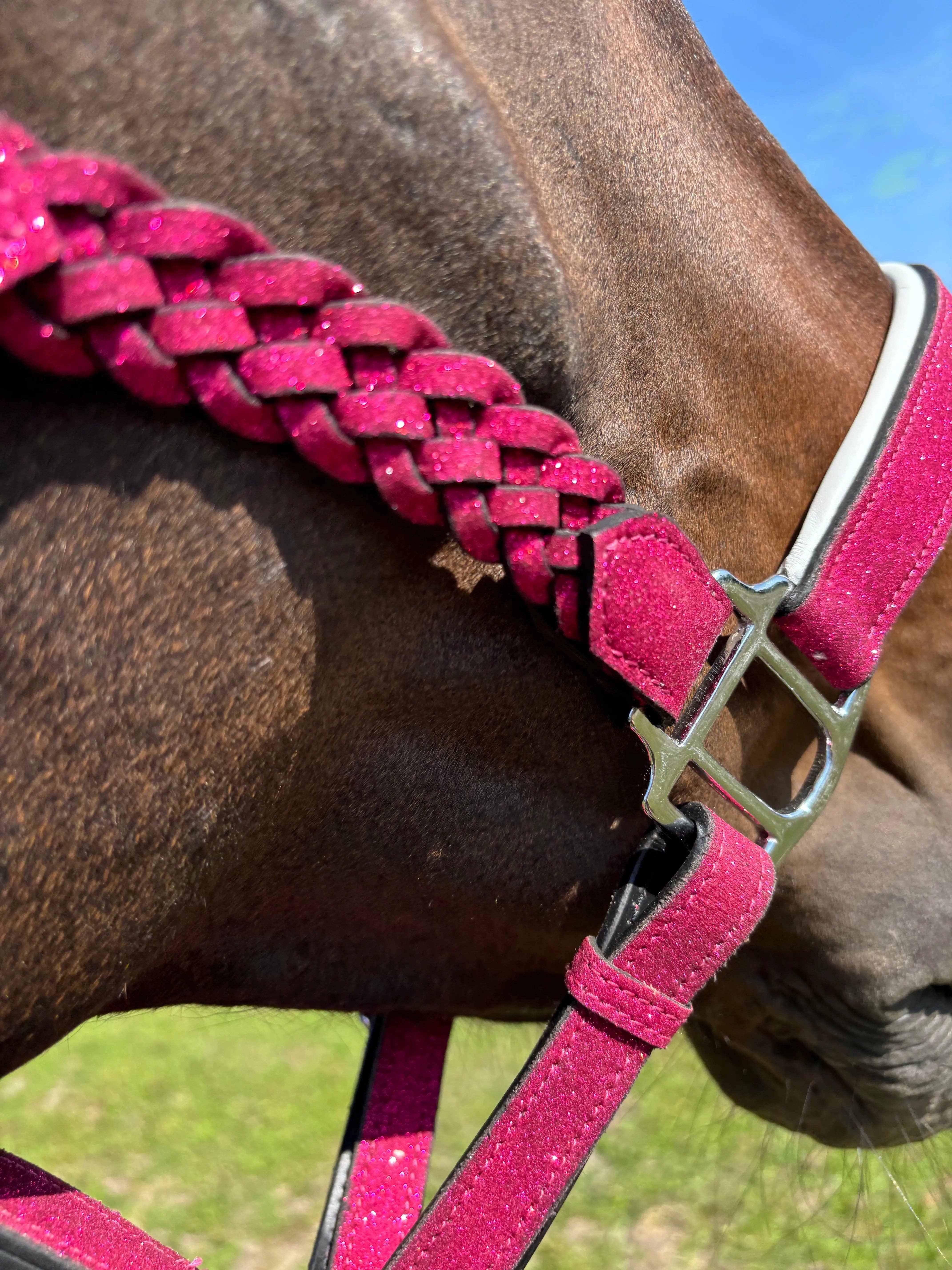 CR Harmonyequestrian - Wholesale Horseback Riding Gear - Glitter Halter braided WB1