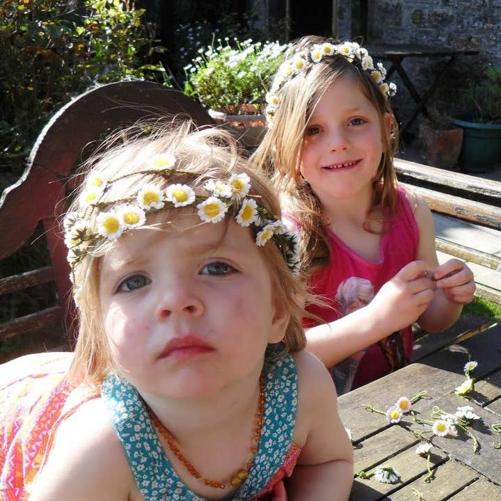 Spotted Cow Creations - Wholesale Artificial Flowers - Green Organza Daisy Bags - Daisies5