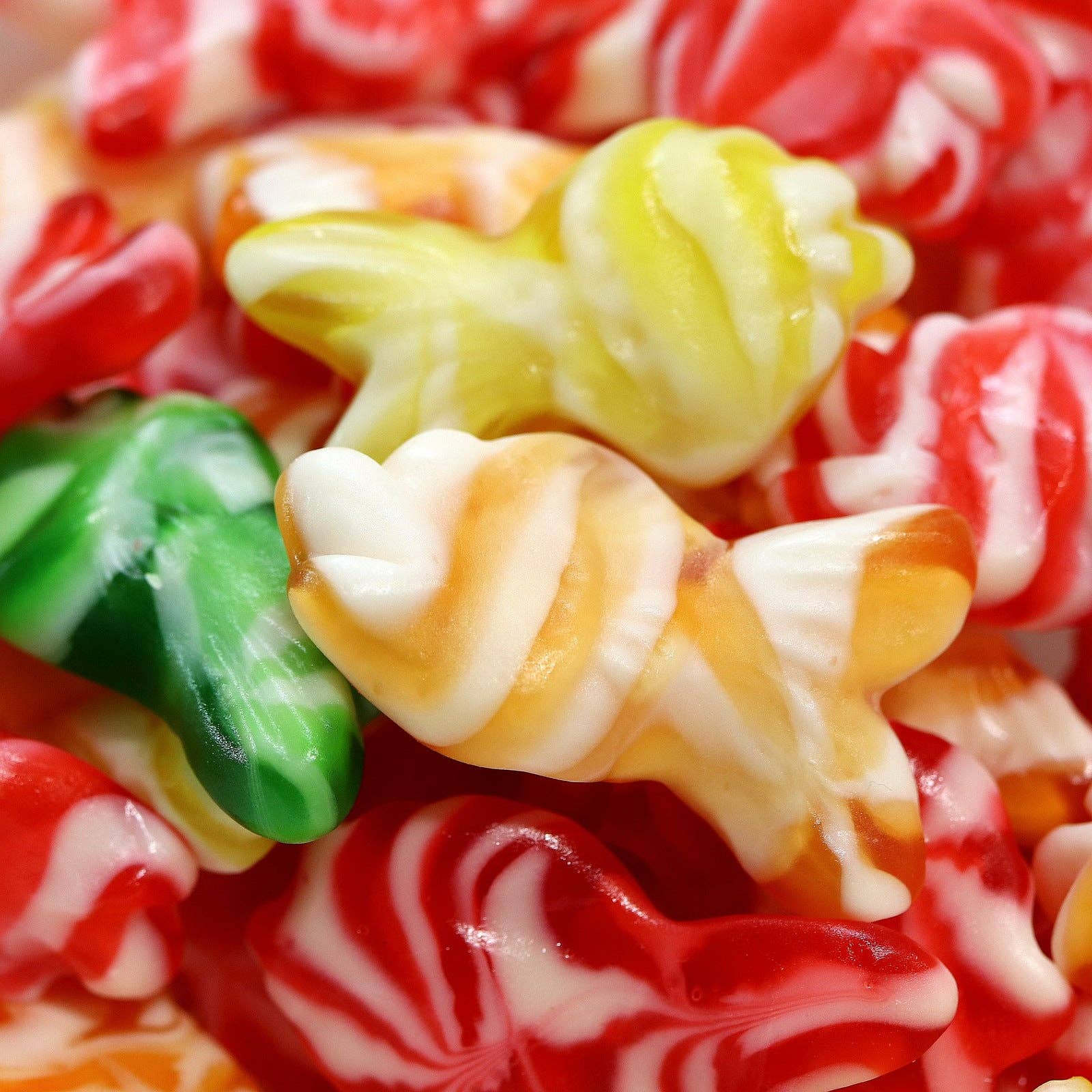 The Nut Garden, Sweetables, Utah Truffles - Wholesale Gummy - Sweetables Candy Jars | Rainbow Fish Mates1