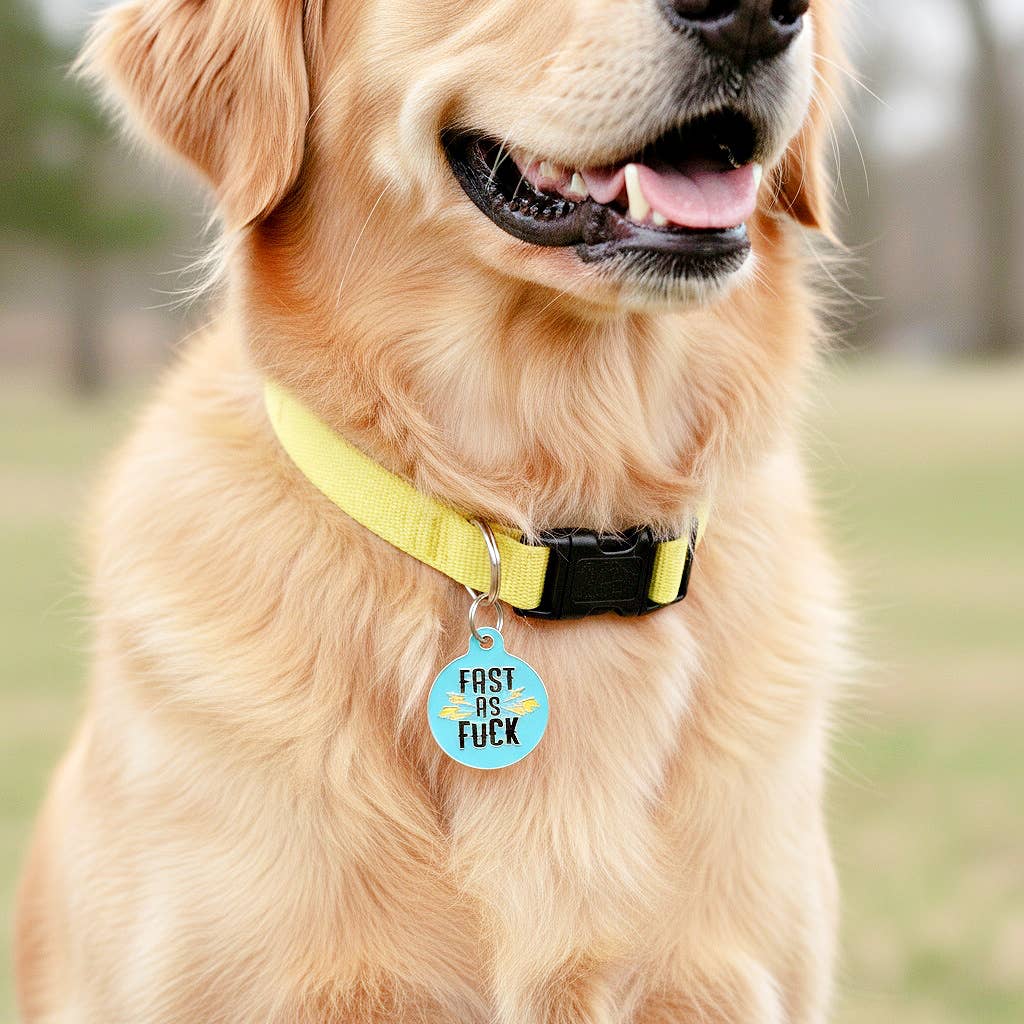 Bad Tags – Großhandel Haustiermarke – Hund – Emaille-Hundemarke mit scannbarer ID - Schnell wie der Blitz1