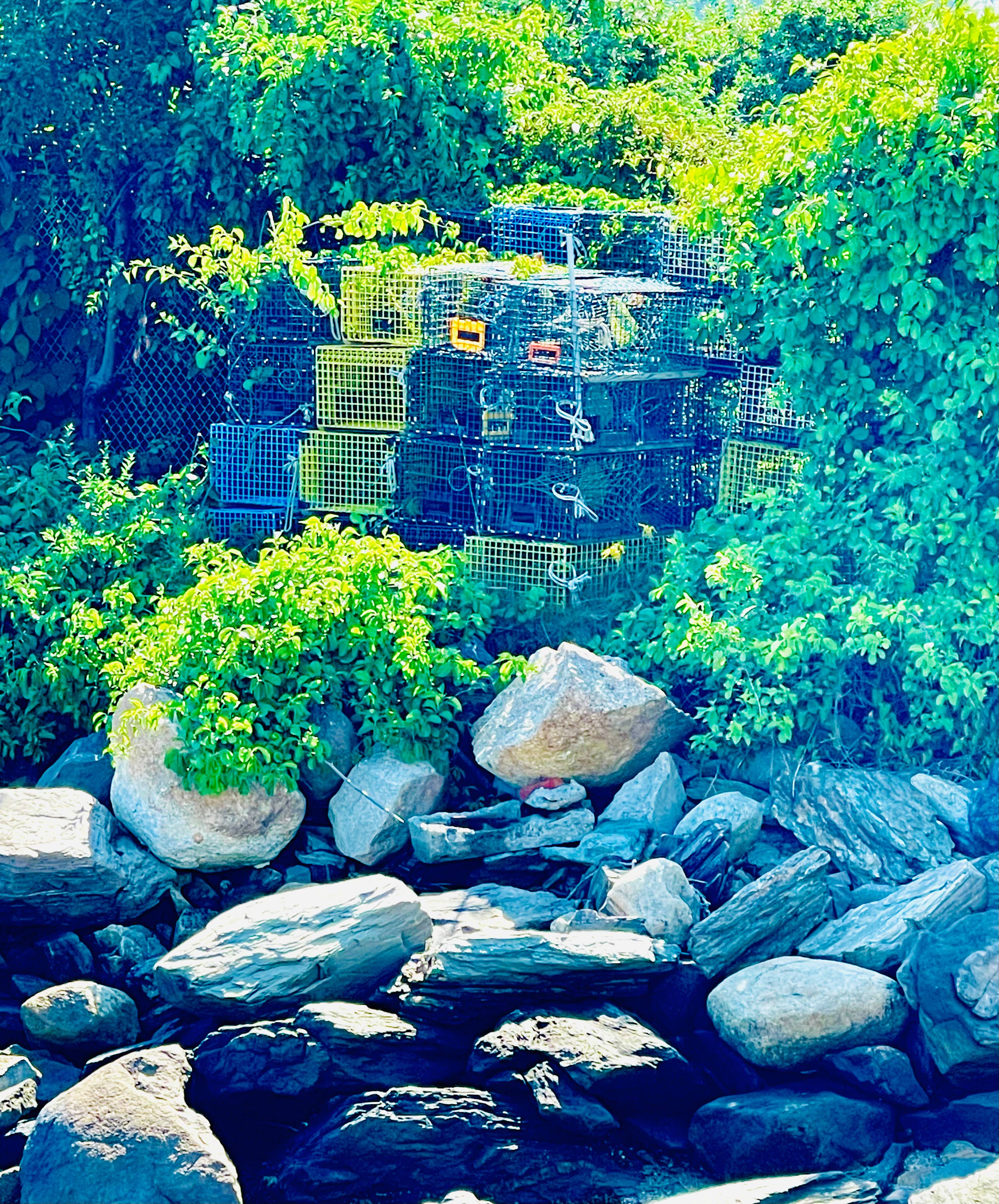 Maine Sea Witch - Wholesale Spiritual Stone/Crystal - Maine Sea Witch Oracle19