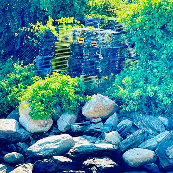 Maine Sea Witch - Wholesale Spiritual Stone/Crystal - Maine Sea Witch Oracle19