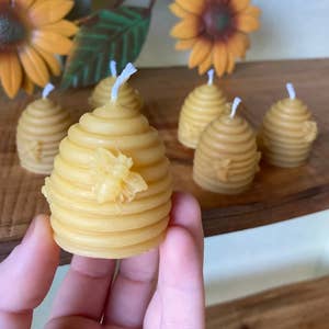 Mann Lake Owl Beeswax Candle Mold