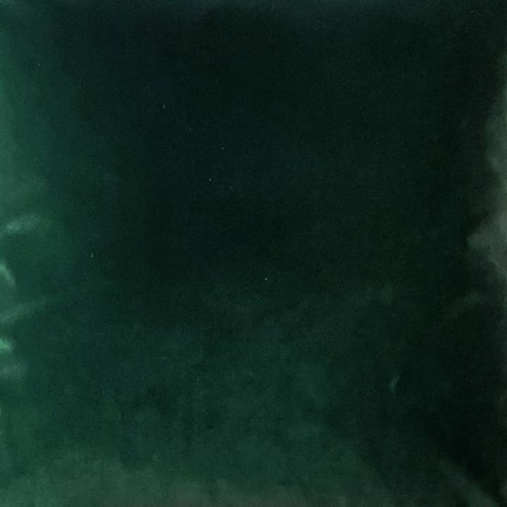 Pillow Decor - Wholesale Throw/Decorative Pillow - Castello Forest Green Velvet Throw Pillow, 12"x20"1