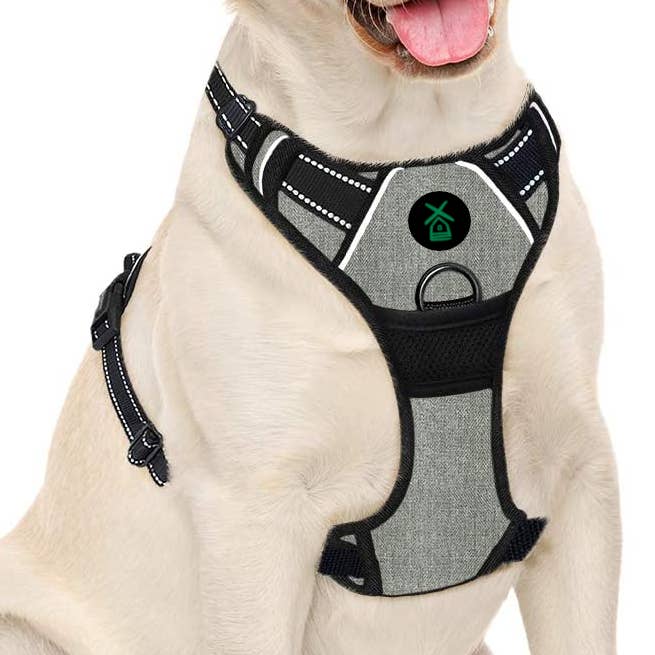 Mister Mill Hundegeschirr, 2 x Schnappschnalle, Grau, Anti-Pull-Harness, Hundegeschirr, reflektierendes Geschirr für den Großhandel von Mister Mill