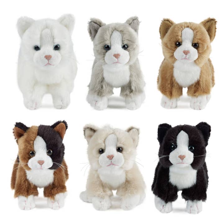 Keycraft - Wholesale Stuffed/Plush Toy - Kids & Baby - Living Nature Cat Small Plush Stuffed Animal Toy