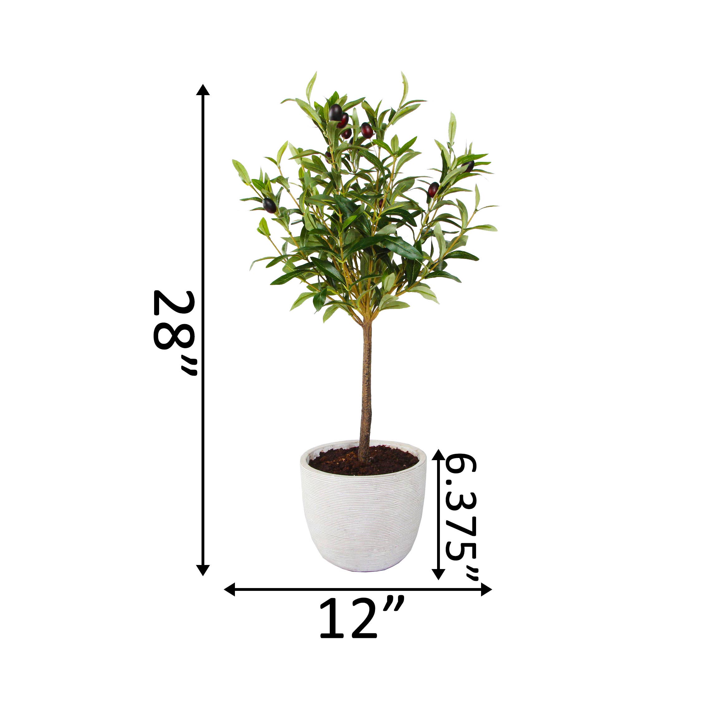Flora Bunda Inc - Venta al por mayor Plantas artificiales - Olivo artificial de 28" en maceta texturizada blanca1