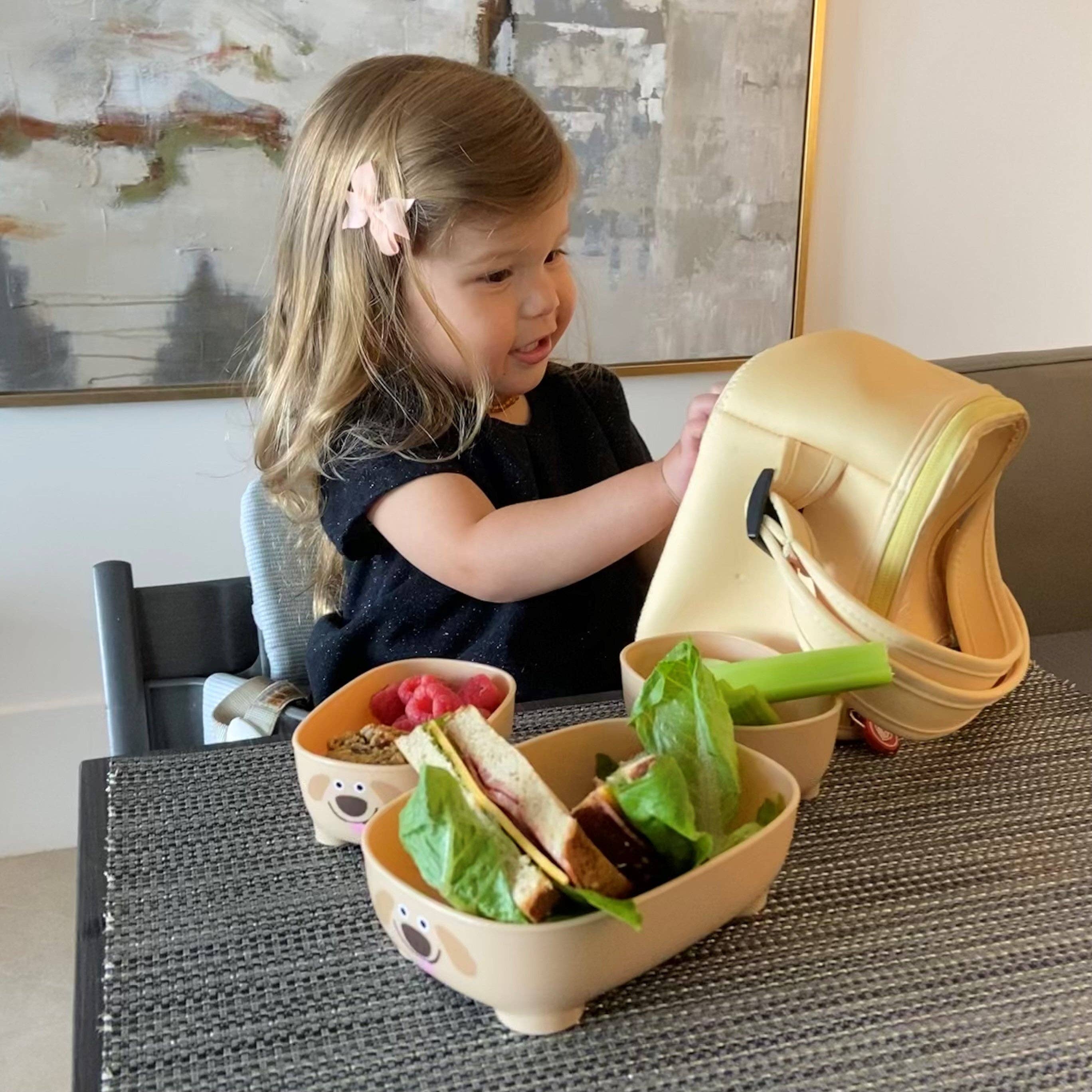 Prince Lionheart - Wholesale Lunch bag/box – Kids - Bentomal ® To Go Bento Box and Carry Bag Lunch Box Container3