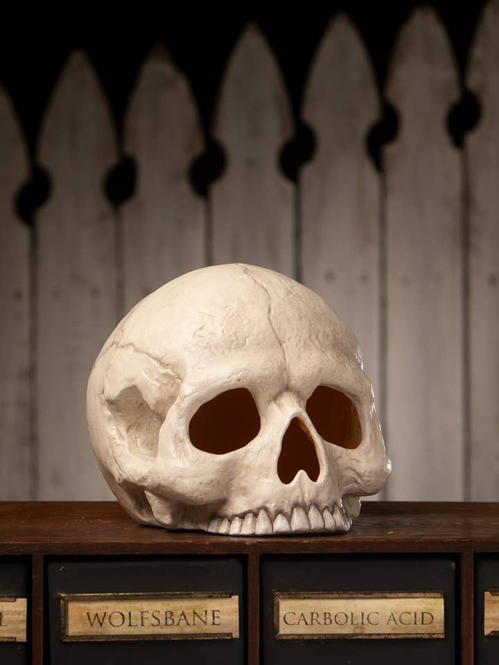 Skull Votive for wholesale by Bethany Lowe Designs
