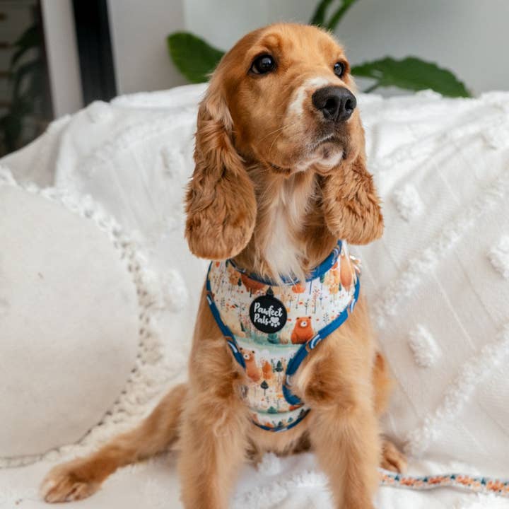 Pawfect Pals - Vente Harnais – chien - Wild at Heart - Harnais réversible pour chien2