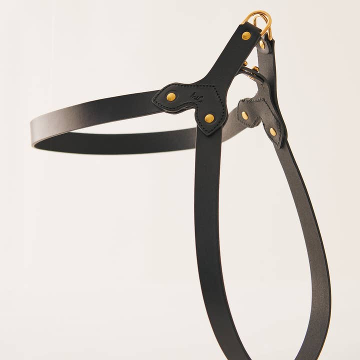 Muso & Co – Großhandel Haustiergeschirr – Hund – Klassisches Geschirr aus pflanzlich gegerbtem Leder38