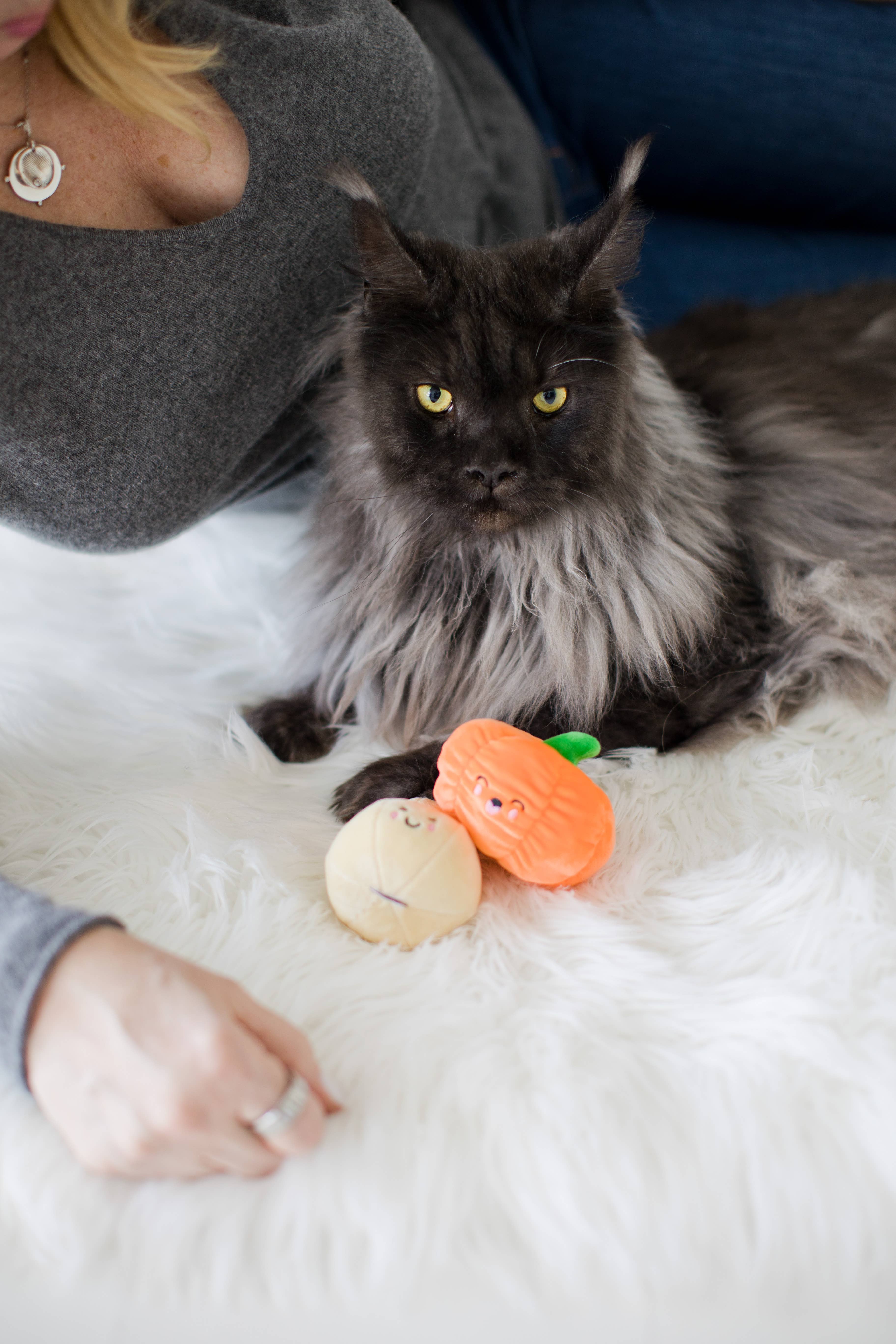 Pearhead - Wholesale Pet Toy Set - Cat - Gourds Fall Cat Toys, Set of 24