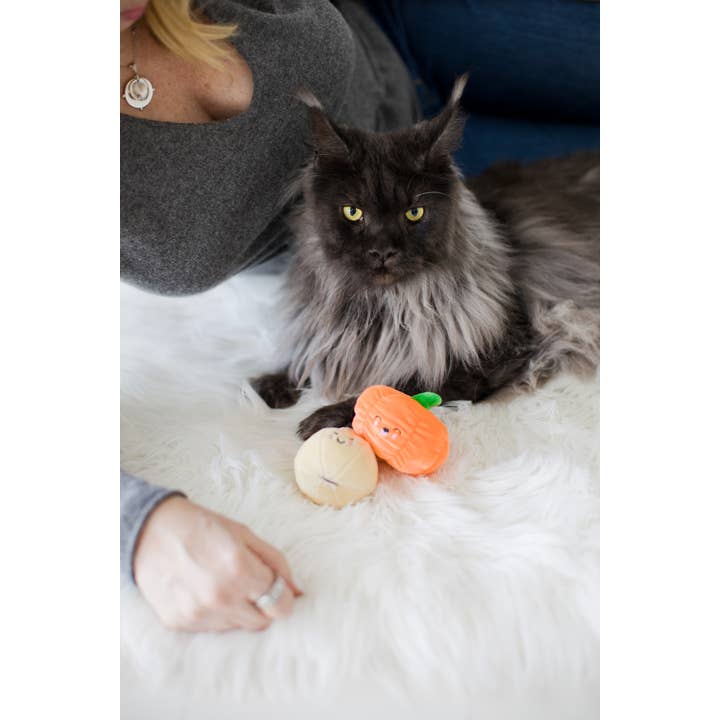 Pearhead - Wholesale Pet Toy Set - Cat - Gourds Fall Cat Toys, Set of 24