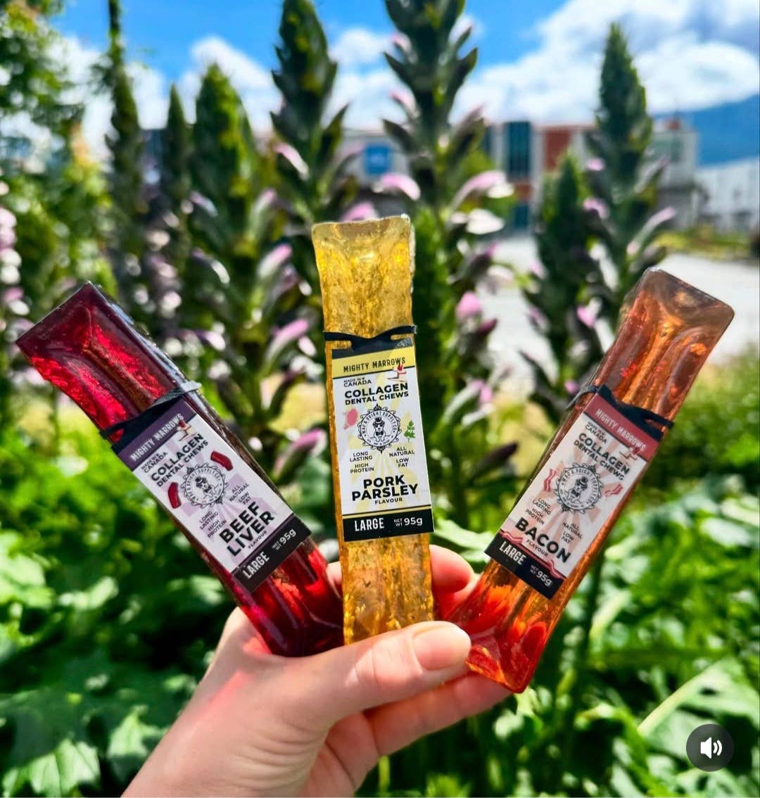 Wag & Bright Supply Co. – Couro/osso para cão - Cão por atacado – Mighty Marrows Colagénio Mastigável para Dentes - Fígado de Vaca - 3 Tamanhos3