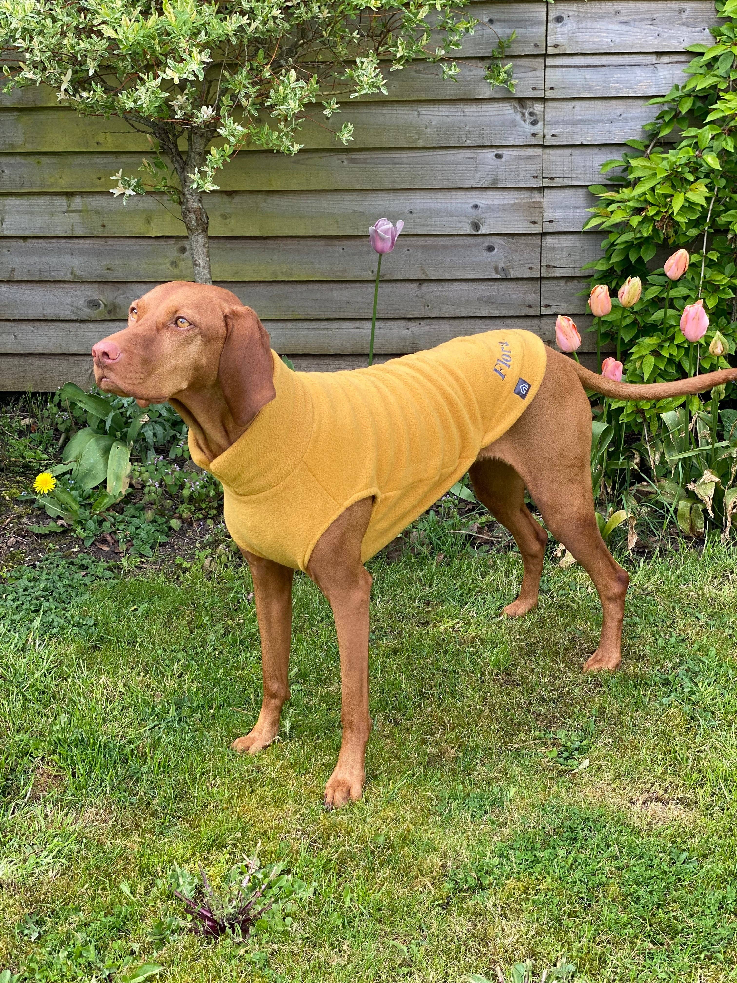 Doghouse – wholesale Tröja - Hund – Hundtröja i fleece för stora raser10