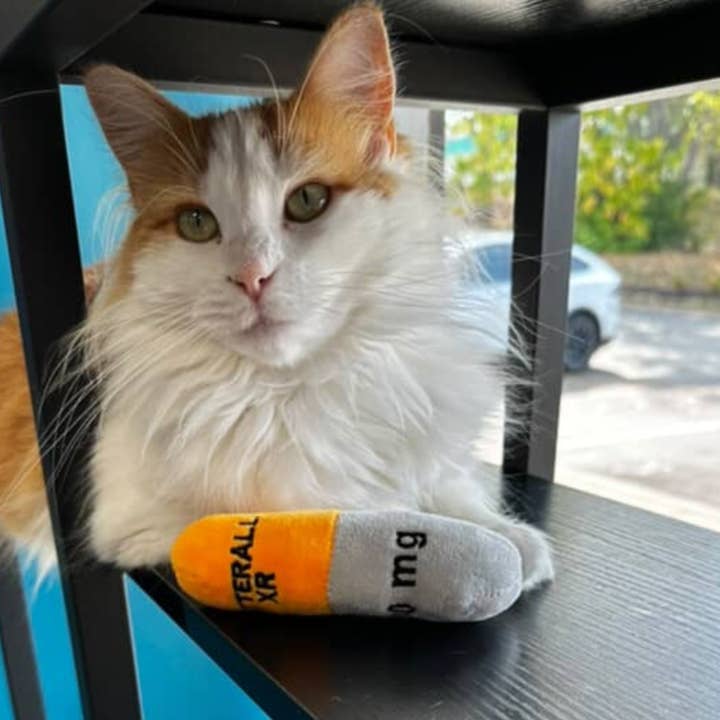 Smokey's Stash - Wholesale Pet Toy - Cat - Catterall Catnip Filled Mini Kicker Toys (4 in a pack)3