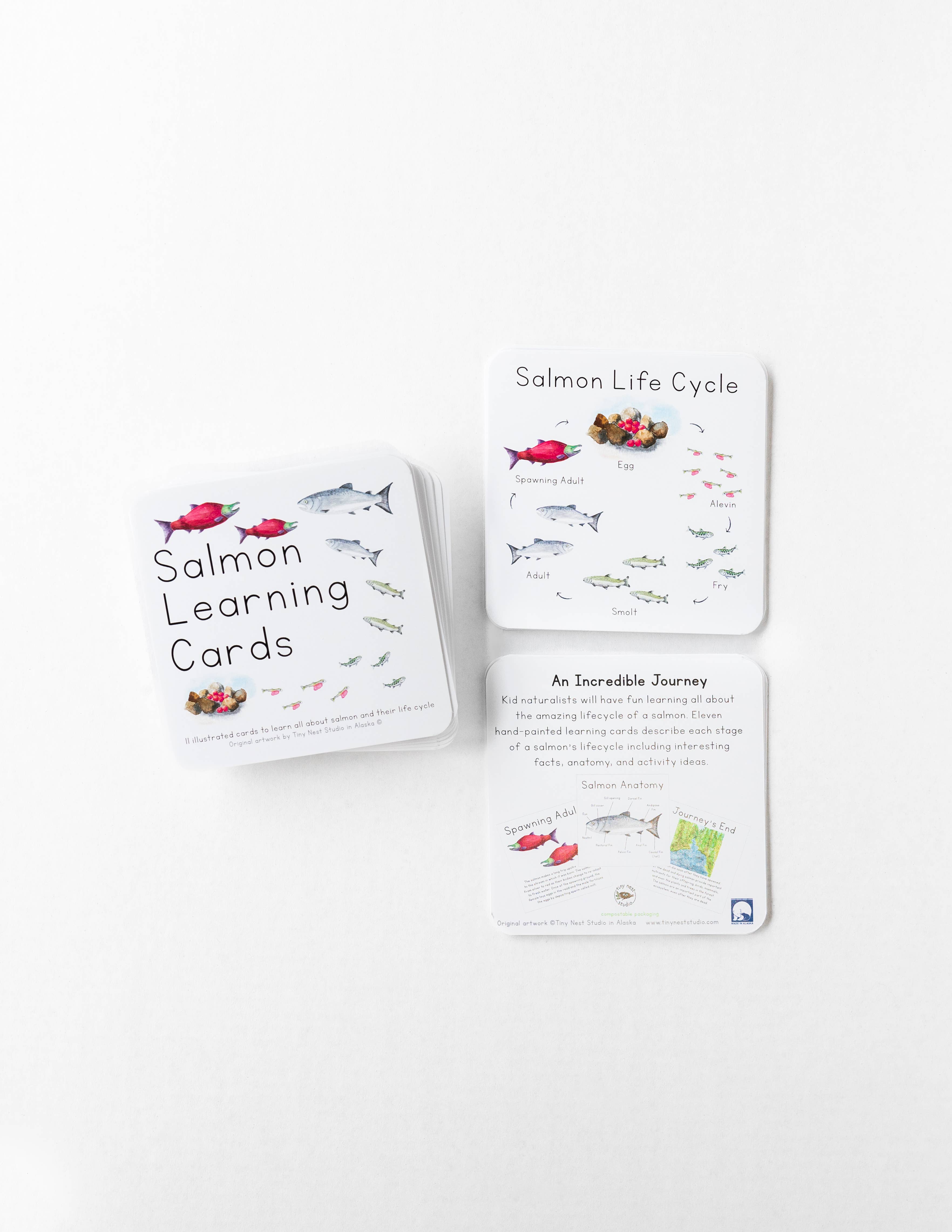 Tiny Nest Studio – Engroshandel Læringskort - Børn og baby – Laks livscyklus læringskort1
