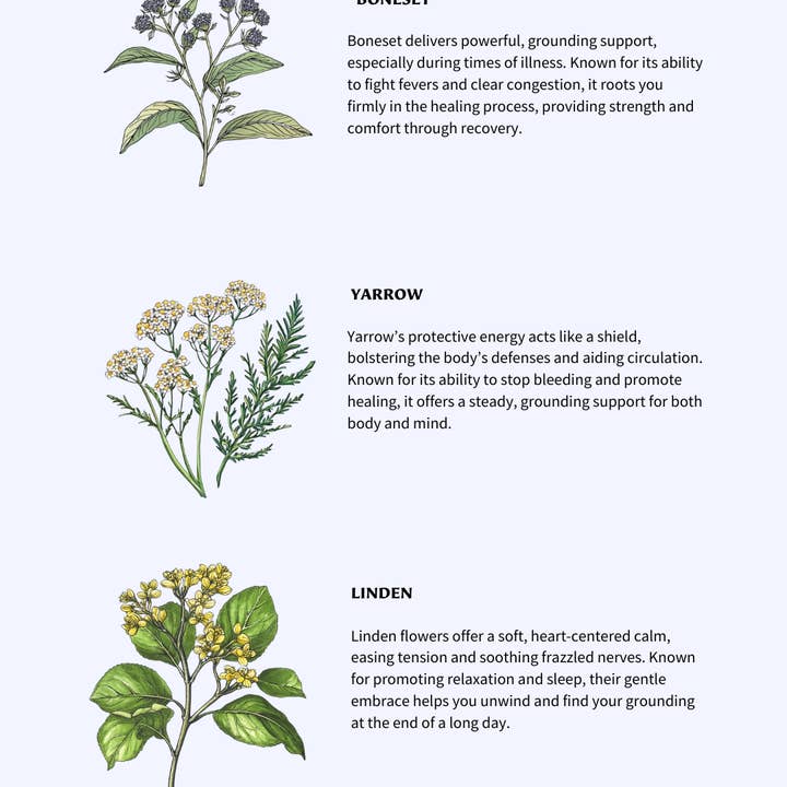 ❈ TALIA TAROT TEA ❈ – wholesale Hälsoté/Detoxté – FLEURS HEAL - IMMUNSTÖD ADAPTOGENA TEPÅSAR