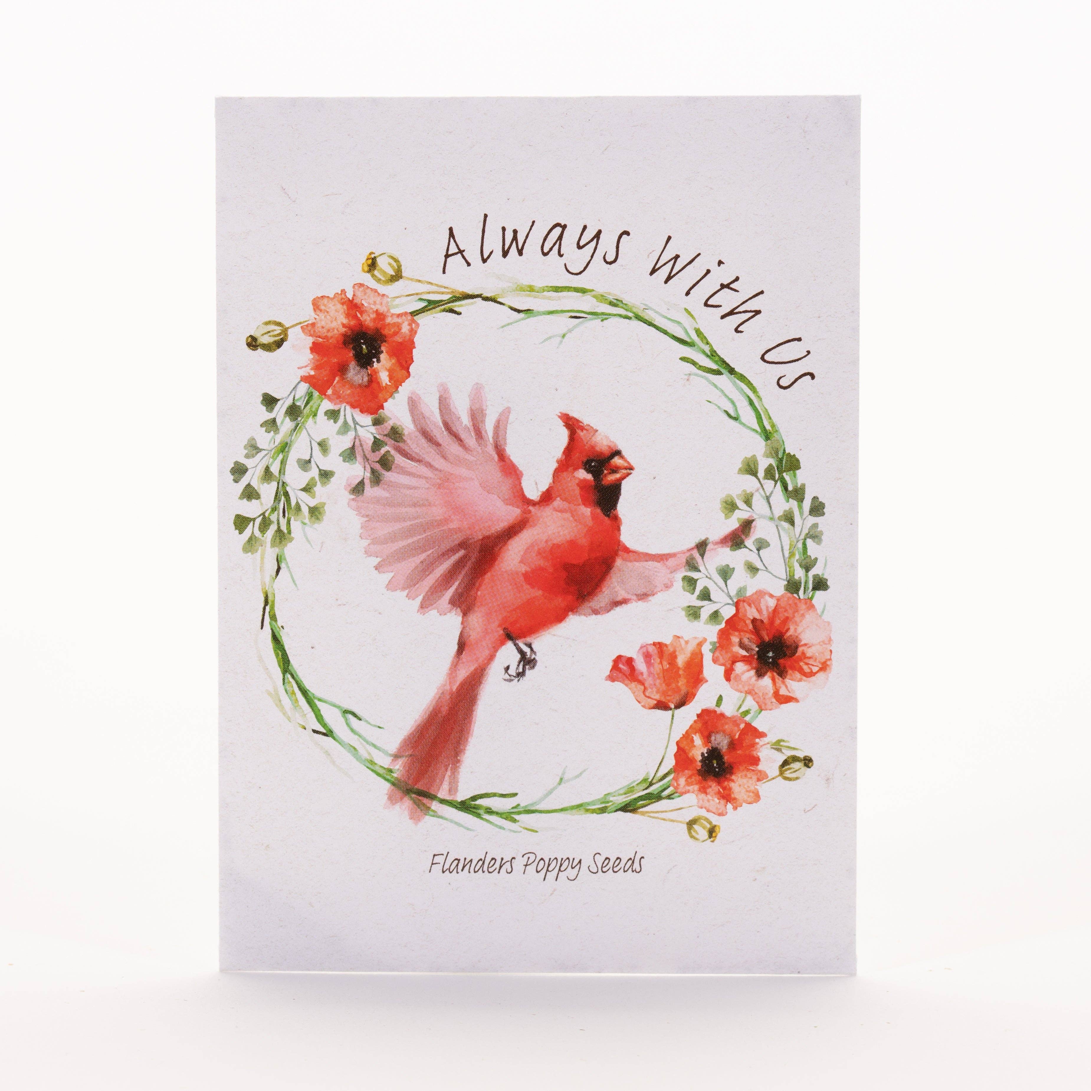 Bentley Seed Co. - Wholesale Sympathy Card - Memorial Cardinal - Flanders Poppy Seed Packets3