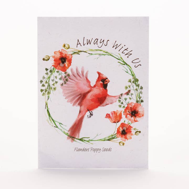 Bentley Seed Co. - Wholesale Sympathy Card - Memorial Cardinal - Flanders Poppy Seed Packets3