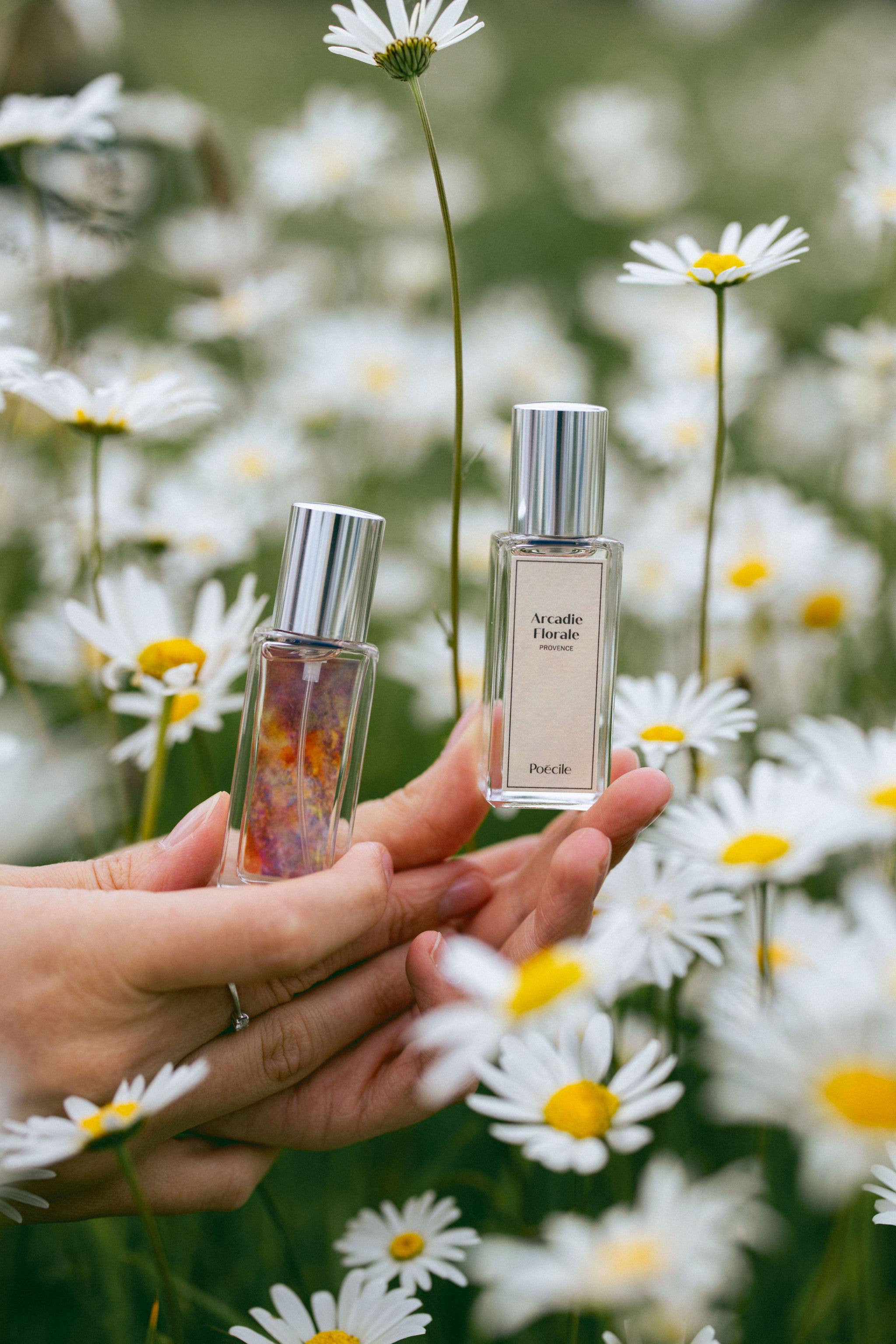 Poécile - Wholesale Perfume/Eau de Toilette - Eau de parfum - Arcadie Florale - Provence2