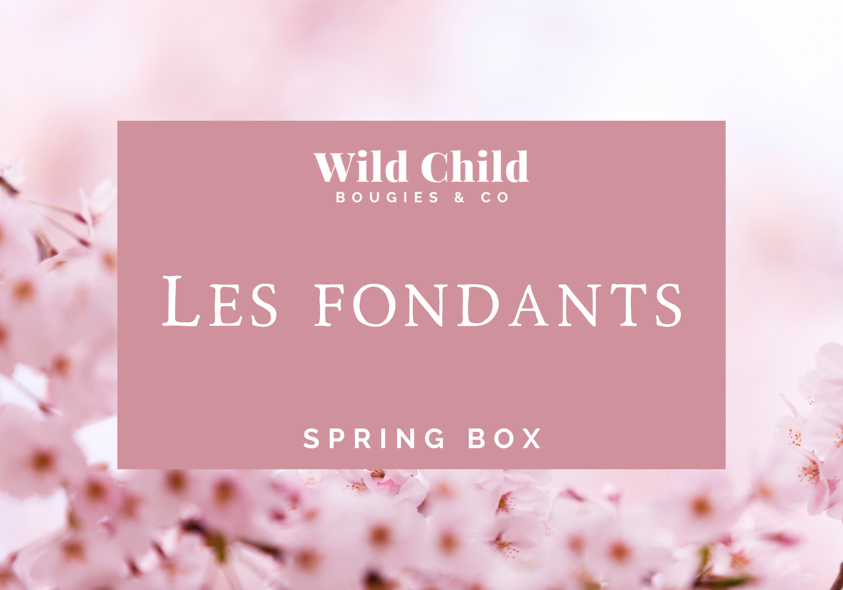WILD CHILD Bougies & Co – Großhandel Schmelzwachs – Spring Box – 6 Fondant-Scheiben mit ca. 30 Stunden Brenndauer7