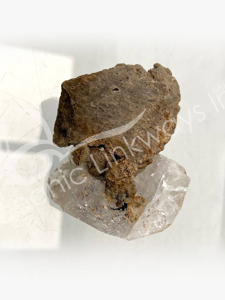 (SPECIMEN)PLAT - DIAMANT HERKIMER 3,25-4,75"L pour la vente par Oceanic Linkways Inc