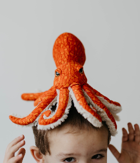 The Petting Zoo - Wholesale Stuffed/Plush Toy - Kids & Baby - Wild Onez Pacific Red Octopus 8" (21cm)1