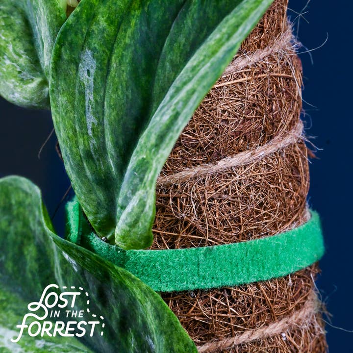 Lost in the Forrest – wholesale Garden tool – LITF Stackable Coir Pole
