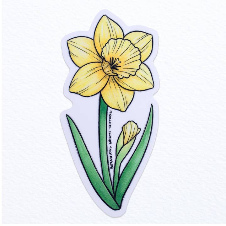 Daffodil Vinyl Sticker for wholesale by Botanical Bright