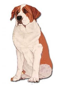 Magnete San Bernardo in legno per la vendita all'ingrosso da parte di Pipsqueak Productions