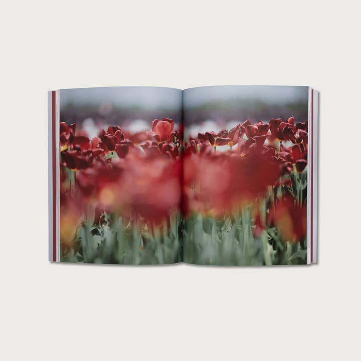 Alabaster Co - Vente Livre sur la religion - Le livre de James3