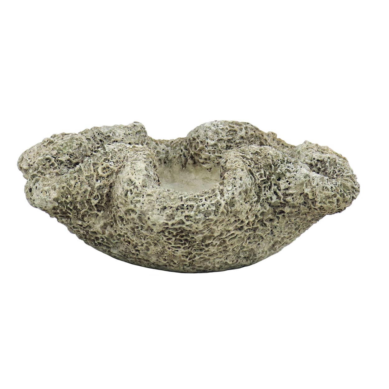 Blue Ocean Traders - Wholesale Plant Pot - Cast Concrete Coral Planter4
