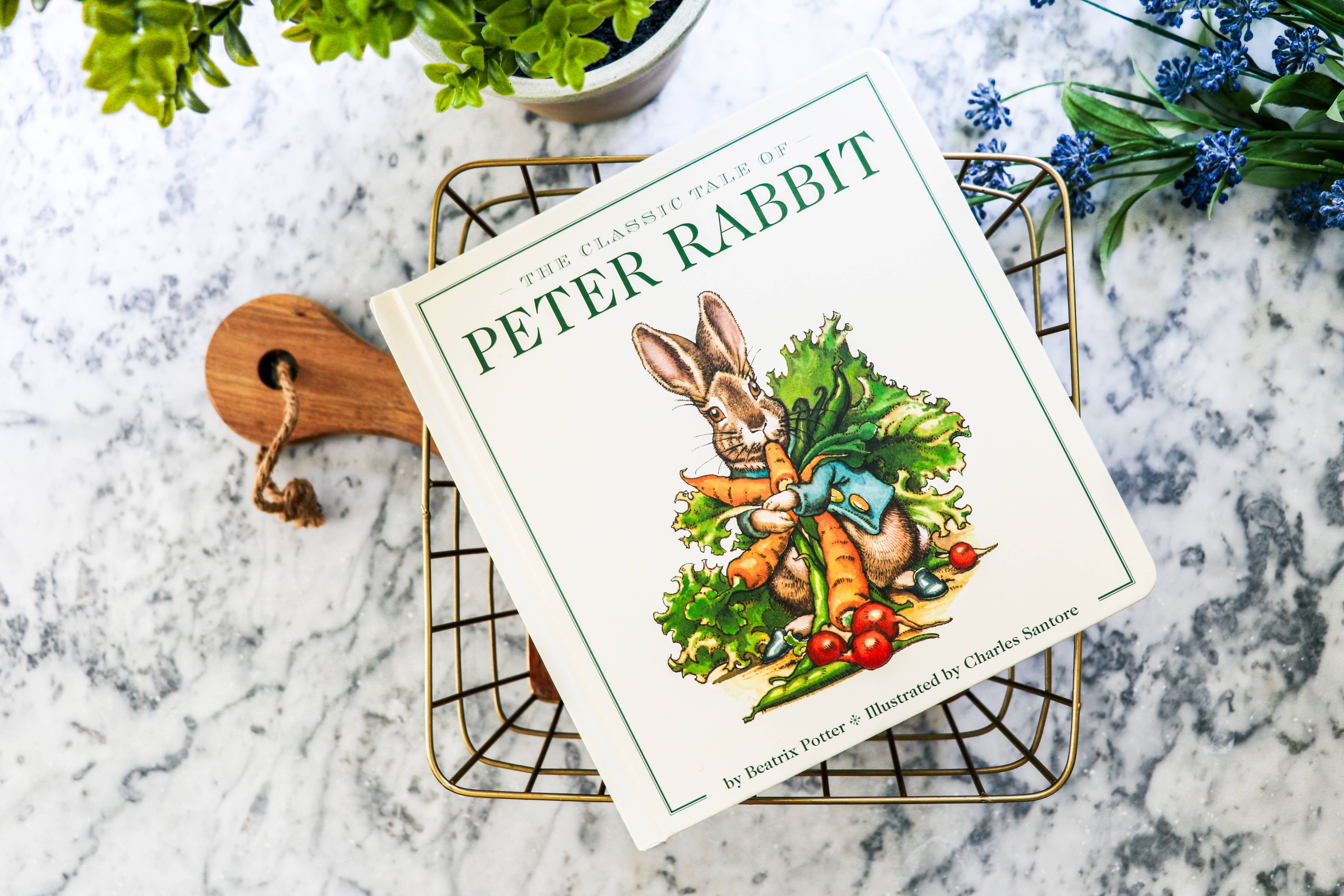 HarperCollins Focus - Wholesale Baby & Toddler Book (0-2) - The Peter Rabbit Oversized Board Book8