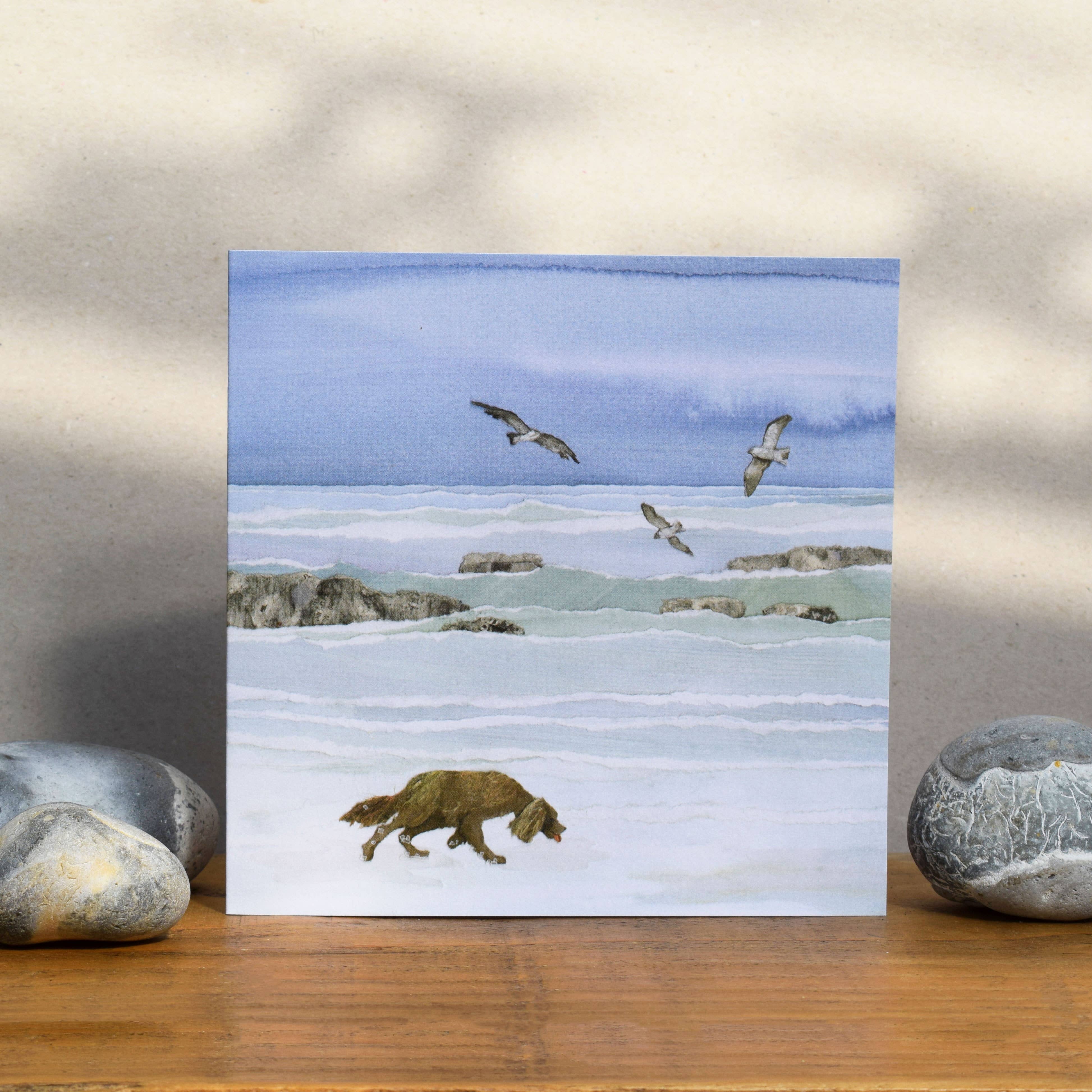 Windsock Press – wholesale Everyday greeting card – Dog and Seagulls Card (sunday morning)2