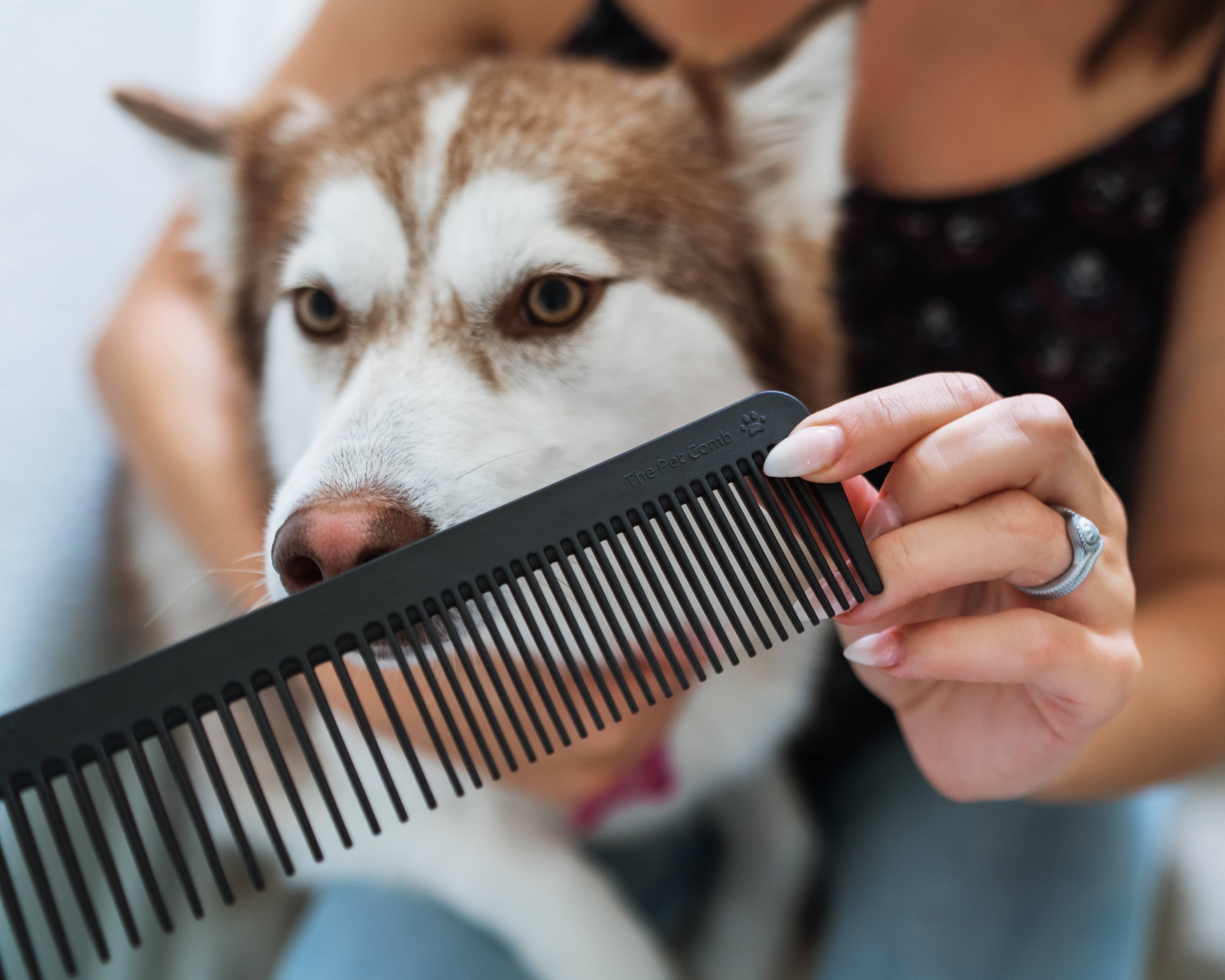 Chicago Comb Co. - Wholesale Pet Brush - Cat/Dog - The Pet Comb4