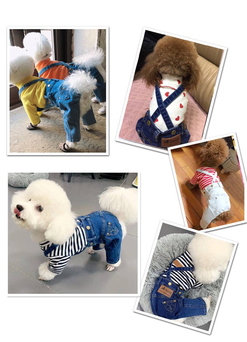 Furr-Baby Gifts - Vente Bandana – chien - Combinaison en jean pour petits animaux de compagnie4