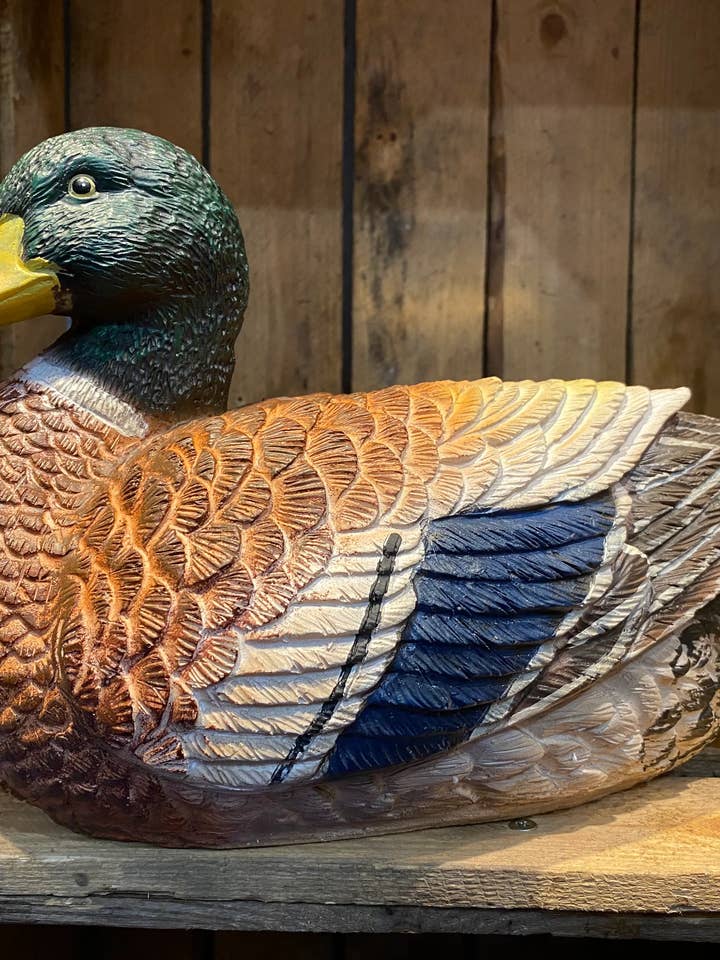 Content Duck for wholesale by ABitQuackers