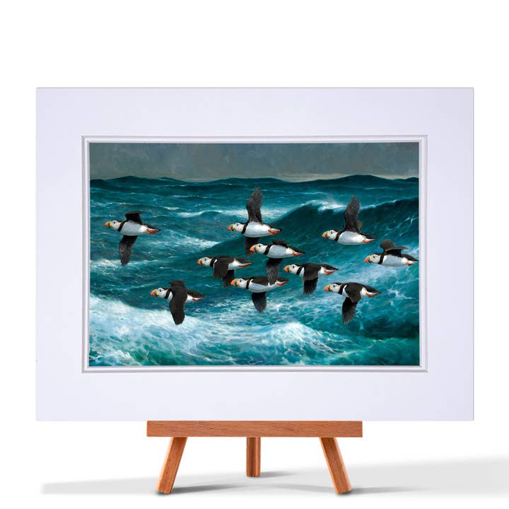 Papegaaiduikers nemen vlucht Fine Art Print voor wholesale door Julian Friers Wildlife Art & Gifts