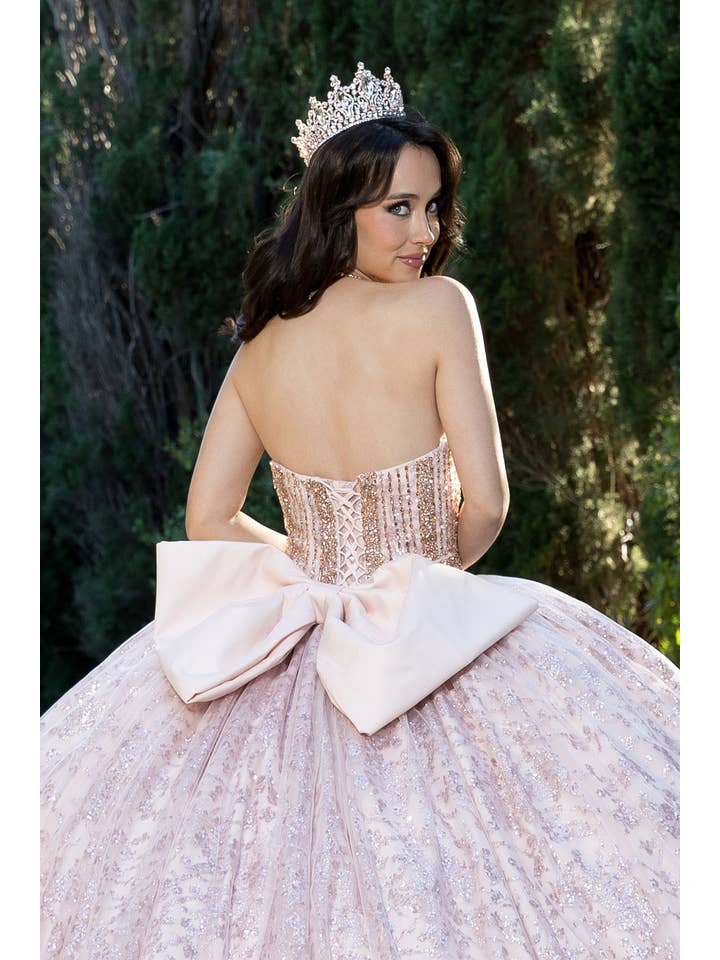 Petite Adele - Wholesale Gown - Women's - High Quality Glass beaded Quince Dress2