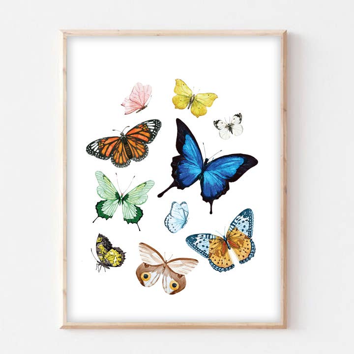 Stampa artistica ad acquerello con farfalle e insetti per la vendita all'ingrosso da parte di Studio Miller